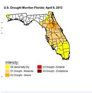 Florida 39 s Drought Gold 39 s Plunge - 1091897 13661512949410713 James Roemer 